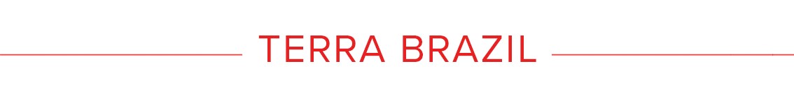 Terra Brazil